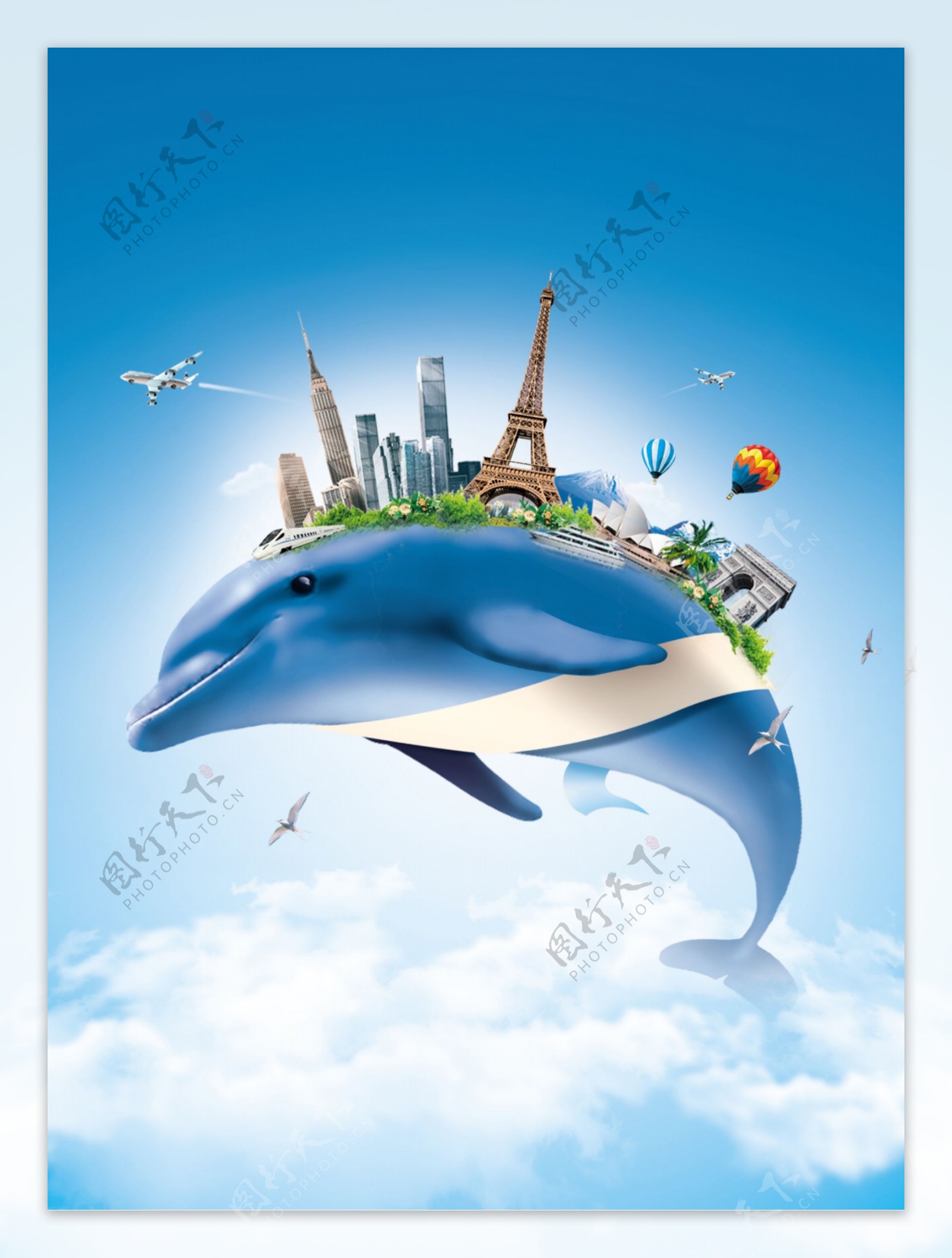 飞行的海豚图片