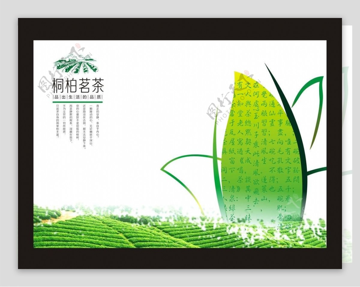 绿茶包装海报展开文件图片
