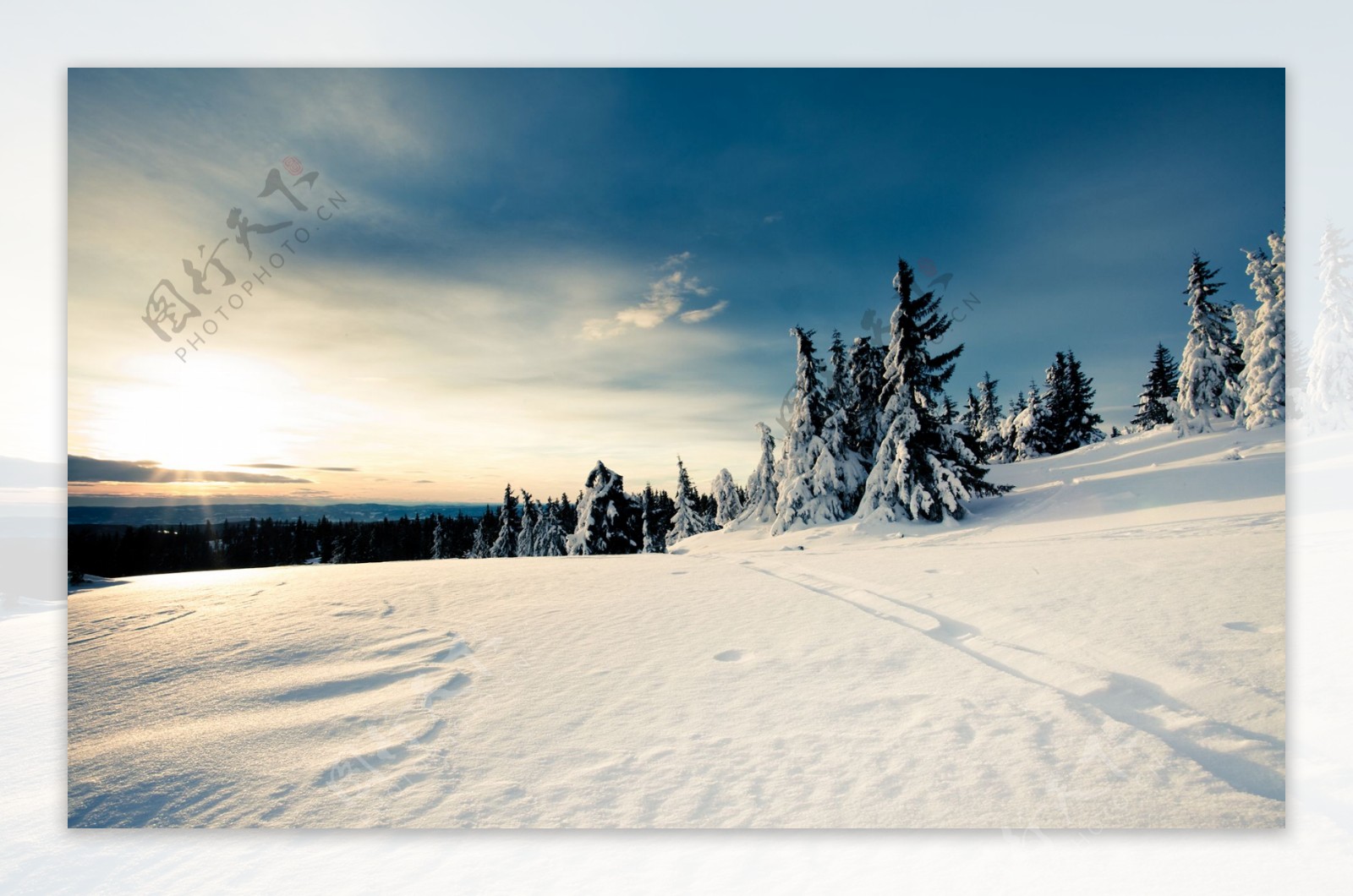 阳光雪景图片