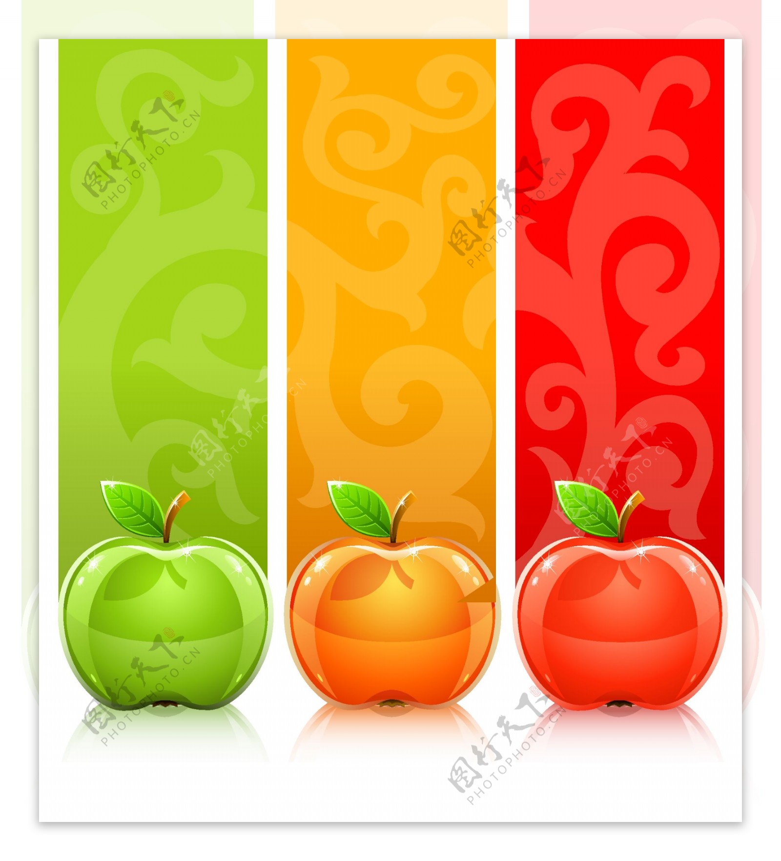 threecolor苹果矢量