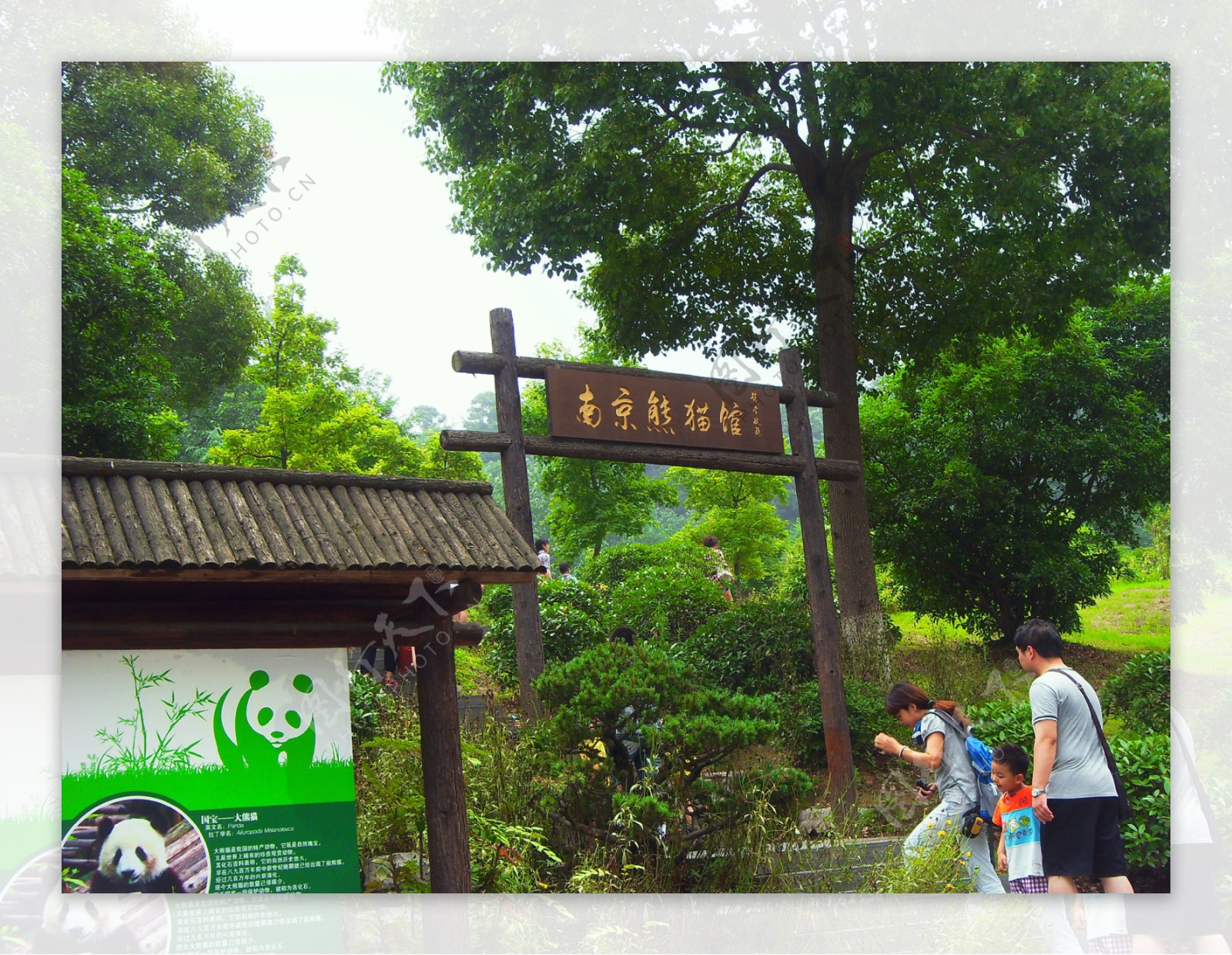 南京熊猫馆图片
