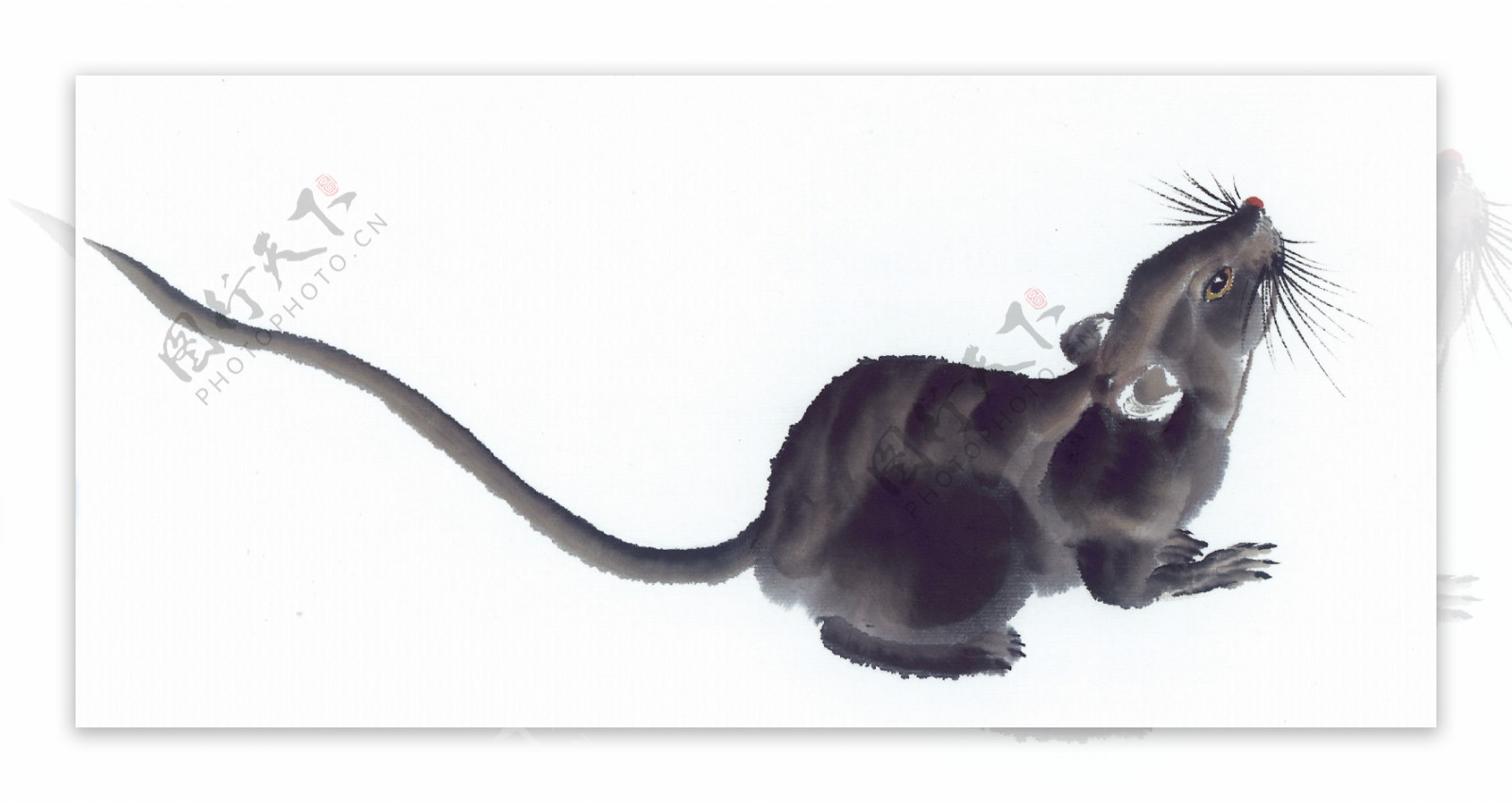 小老鼠图片