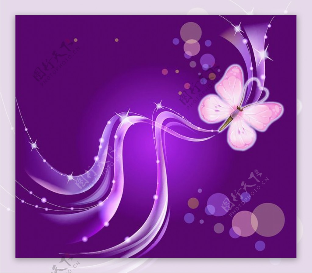 紫色蝴蝶花纹矢量图