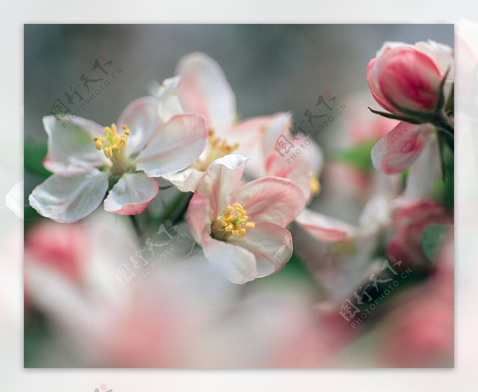 春暖花开