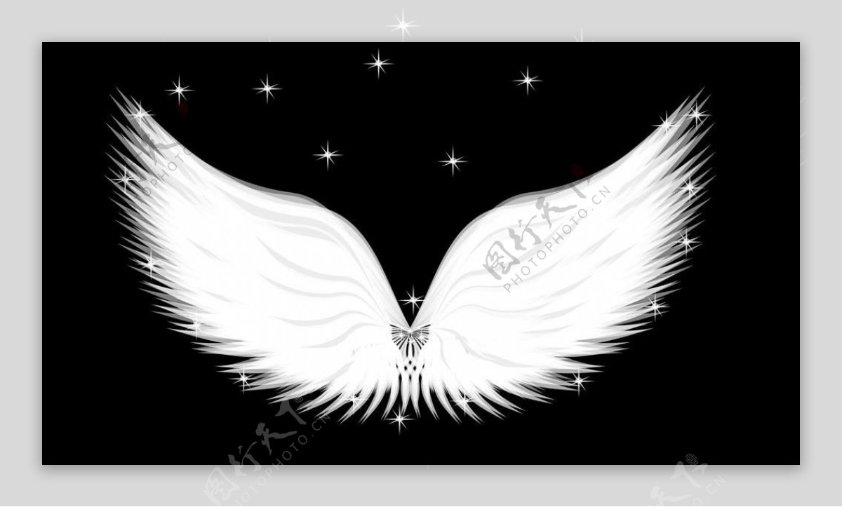 圣洁的天使翅膀图片
