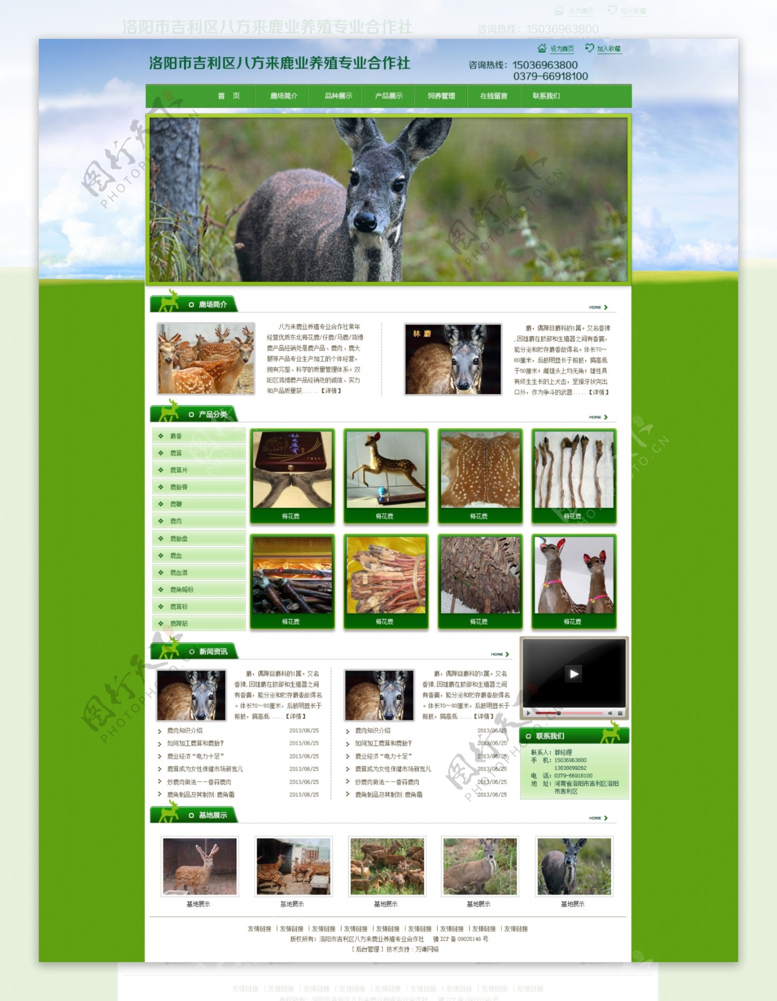鹿业养殖网页设计图片