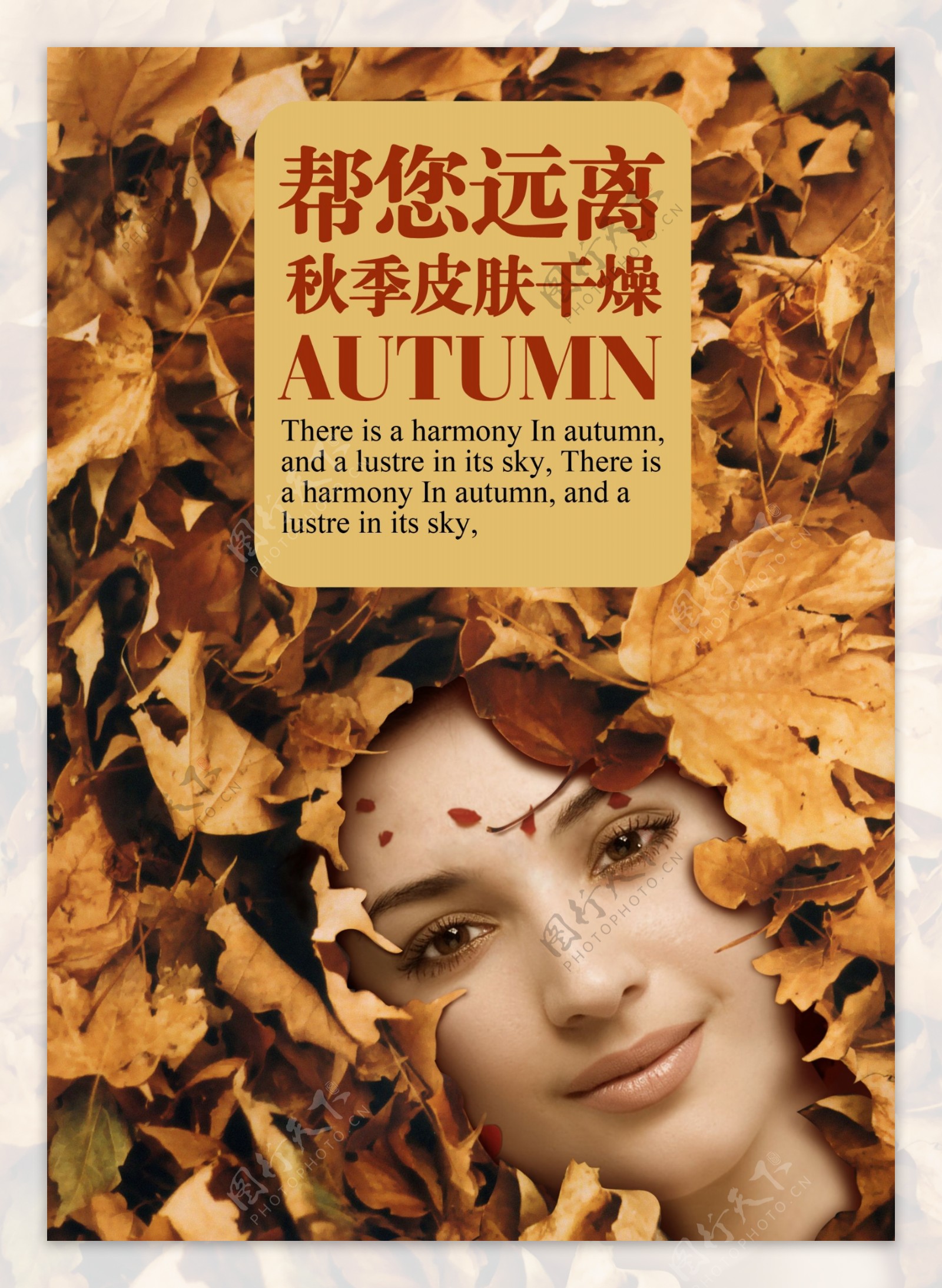 秋季皮肤护理美容广告
