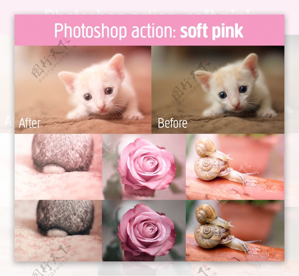 柔美粉色调动作图片