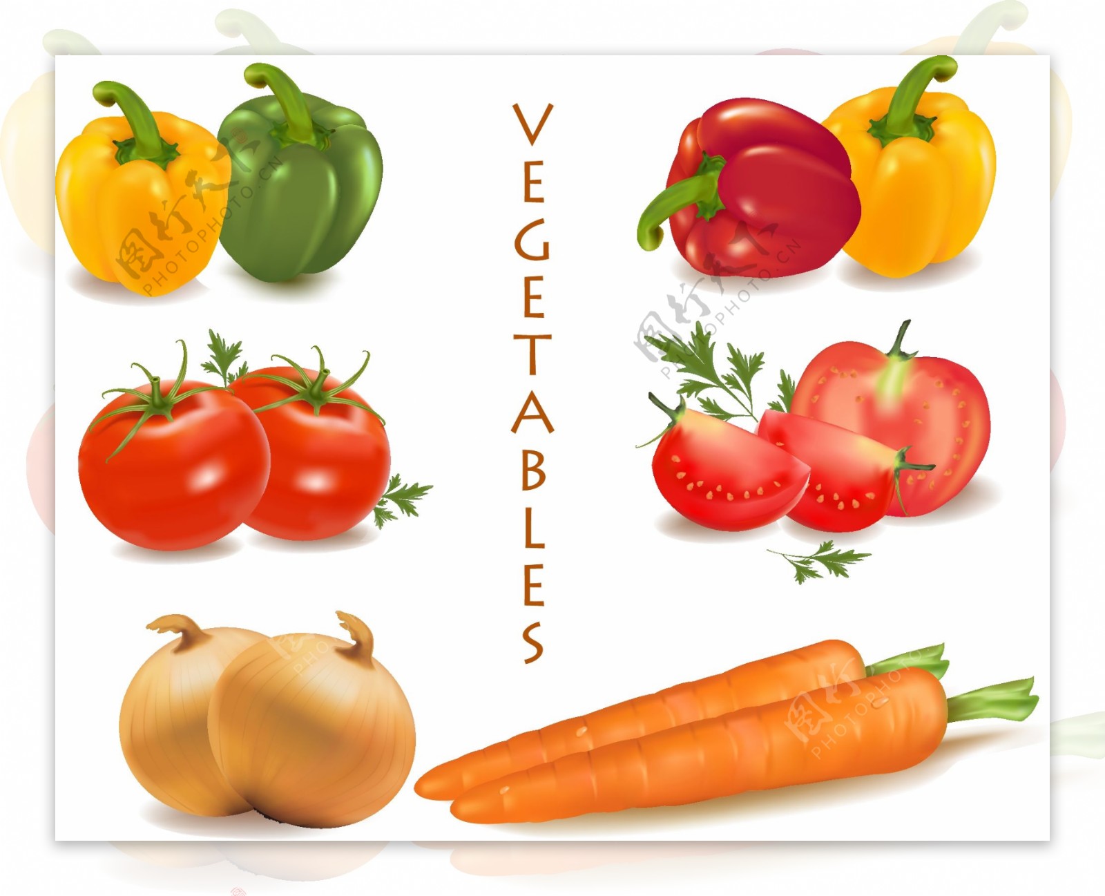 精美蔬菜素材