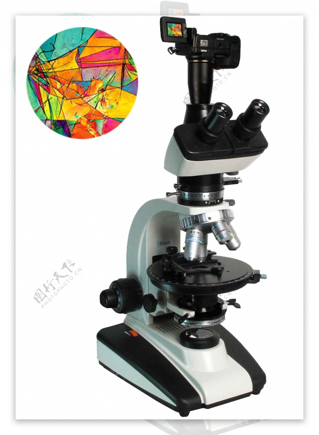 高清显微镜图片
