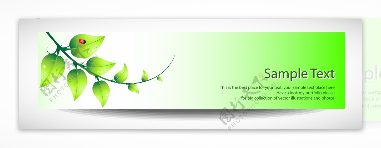 简单瓢虫绿叶卡通花纹卡片