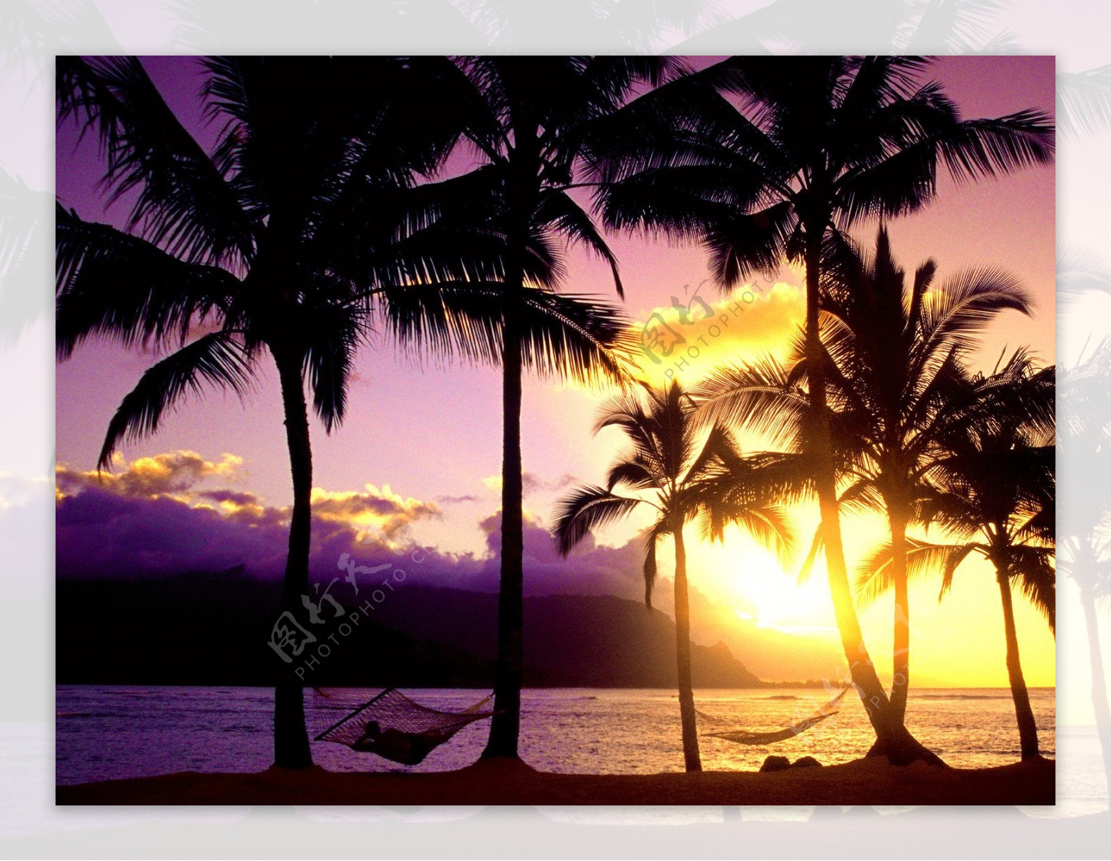 桌面海滩夕阳2图片