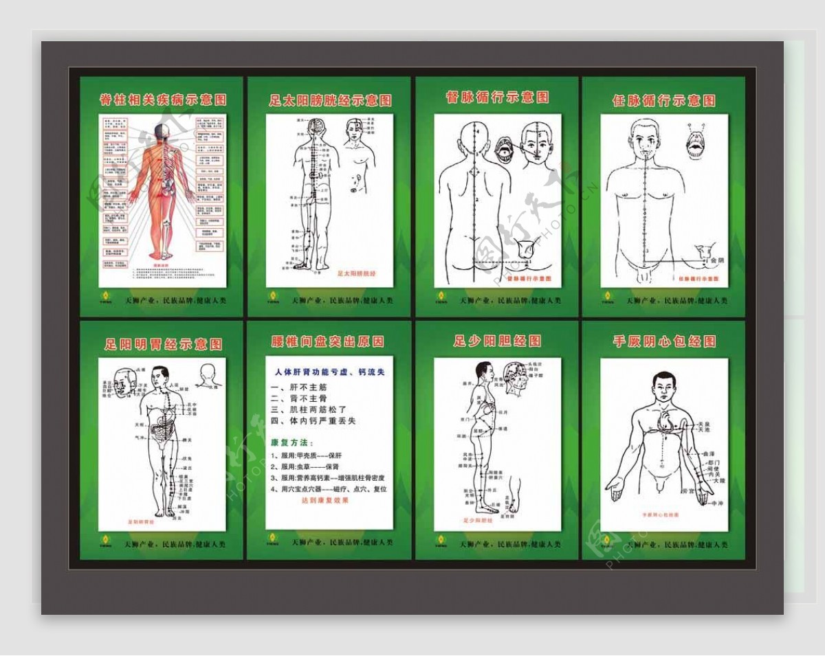 经络图疾病示意图图片