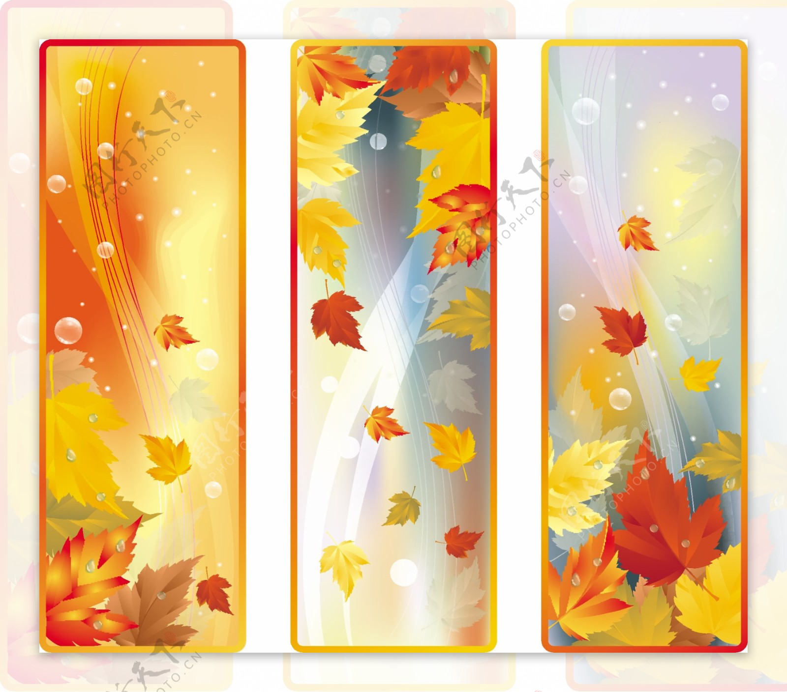 秋季枫叶背景动感线条展板图片