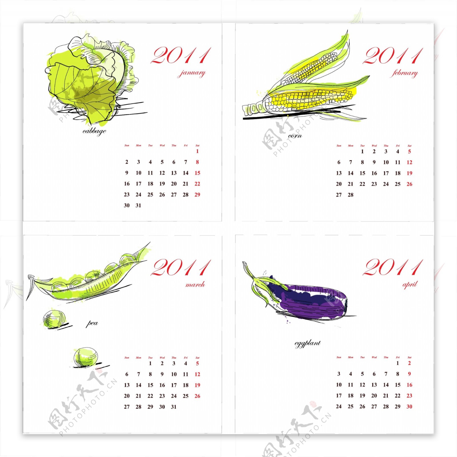 2011蔬菜矢量手日历