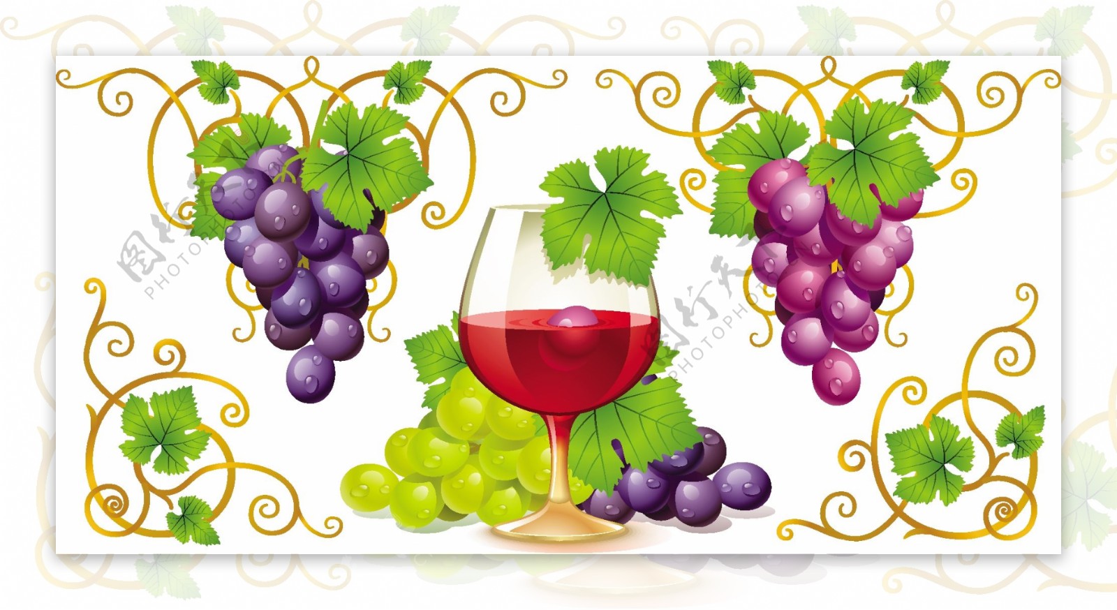 葡萄和葡萄酒的向量集