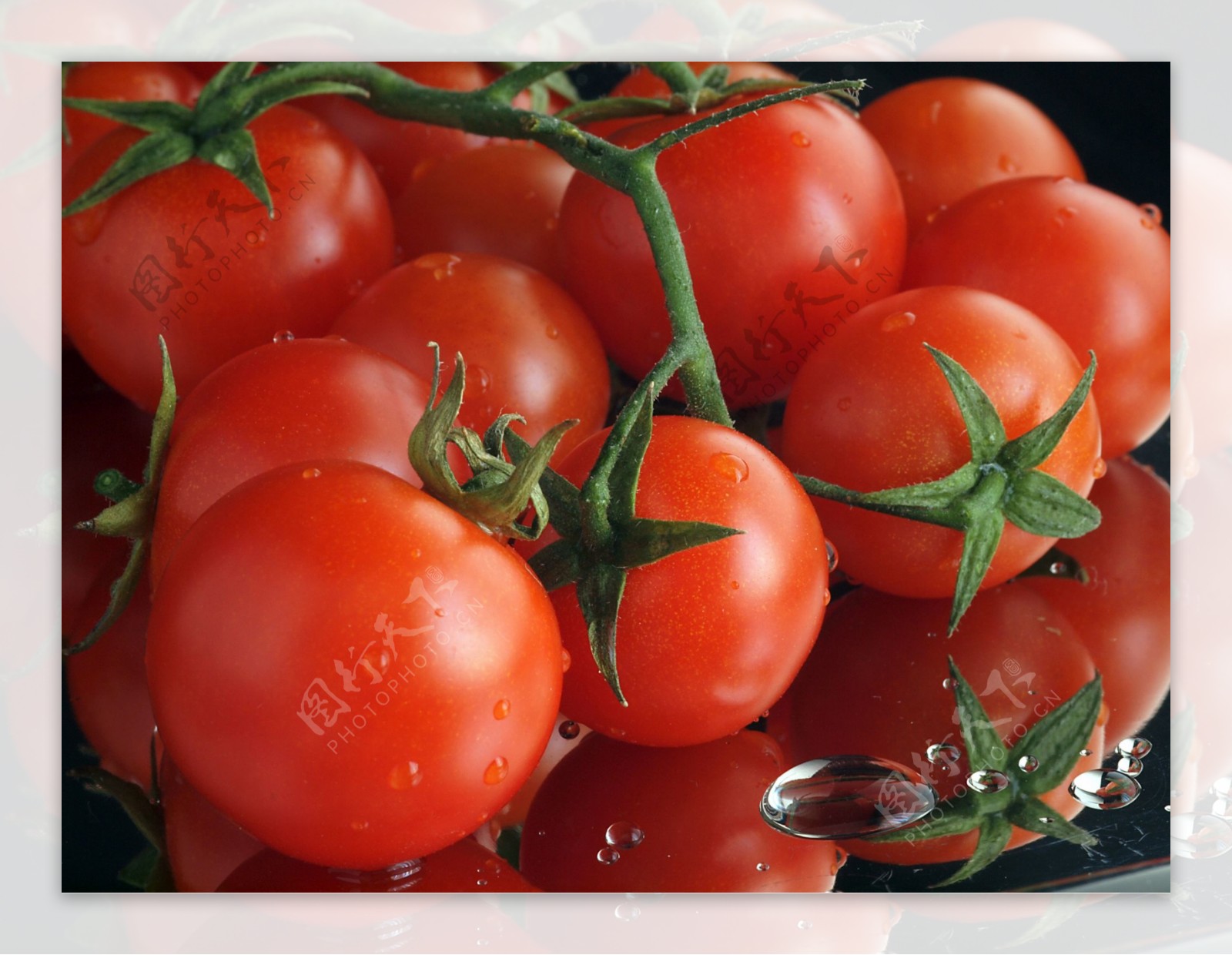 蔬菜摄影 番茄西红柿|摄影|产品摄影|青蛙丸子 - 原创作品 - 站酷 (ZCOOL)