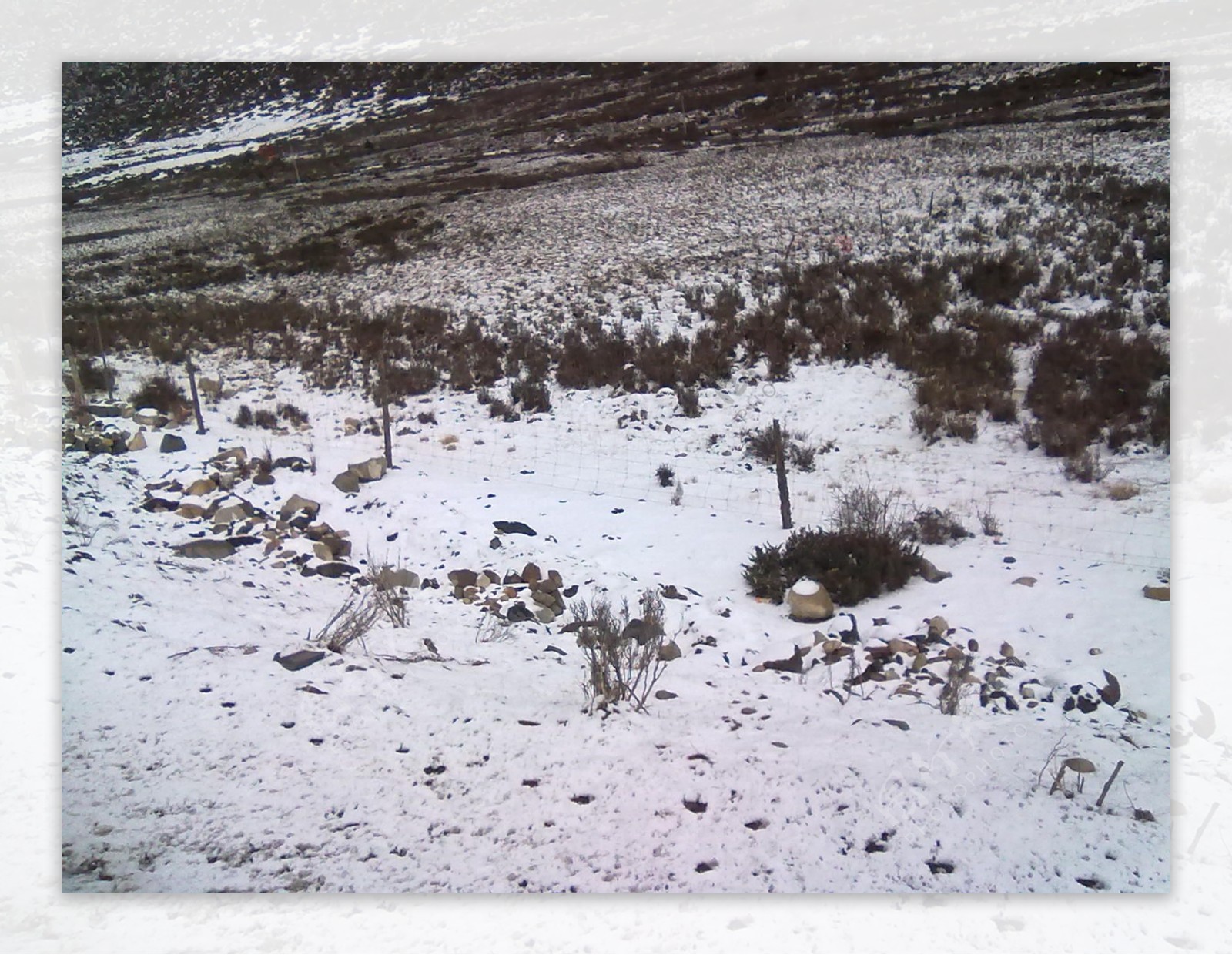 草原上的雪山风光