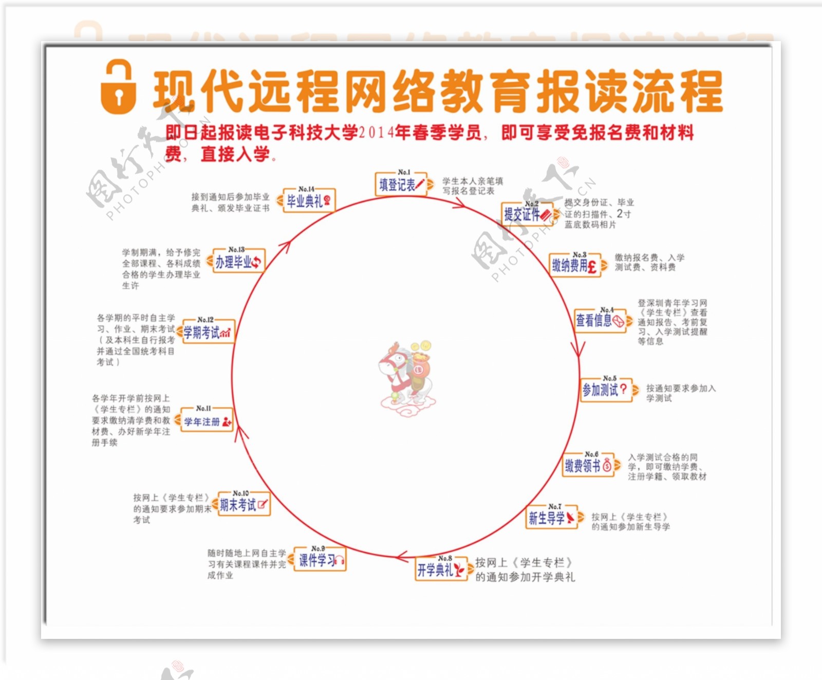 报读流程图片