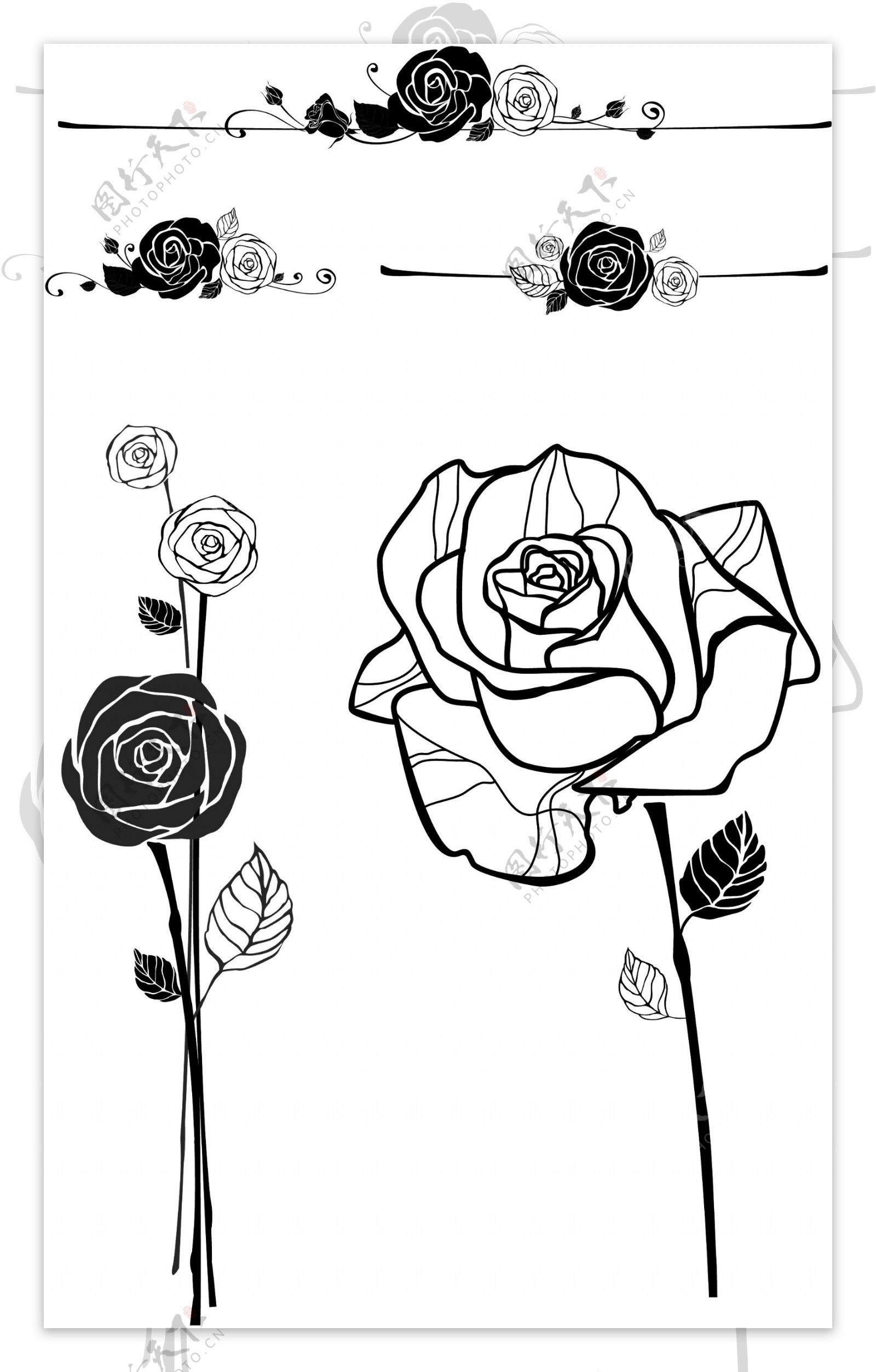 玫瑰花蕊线条手绘