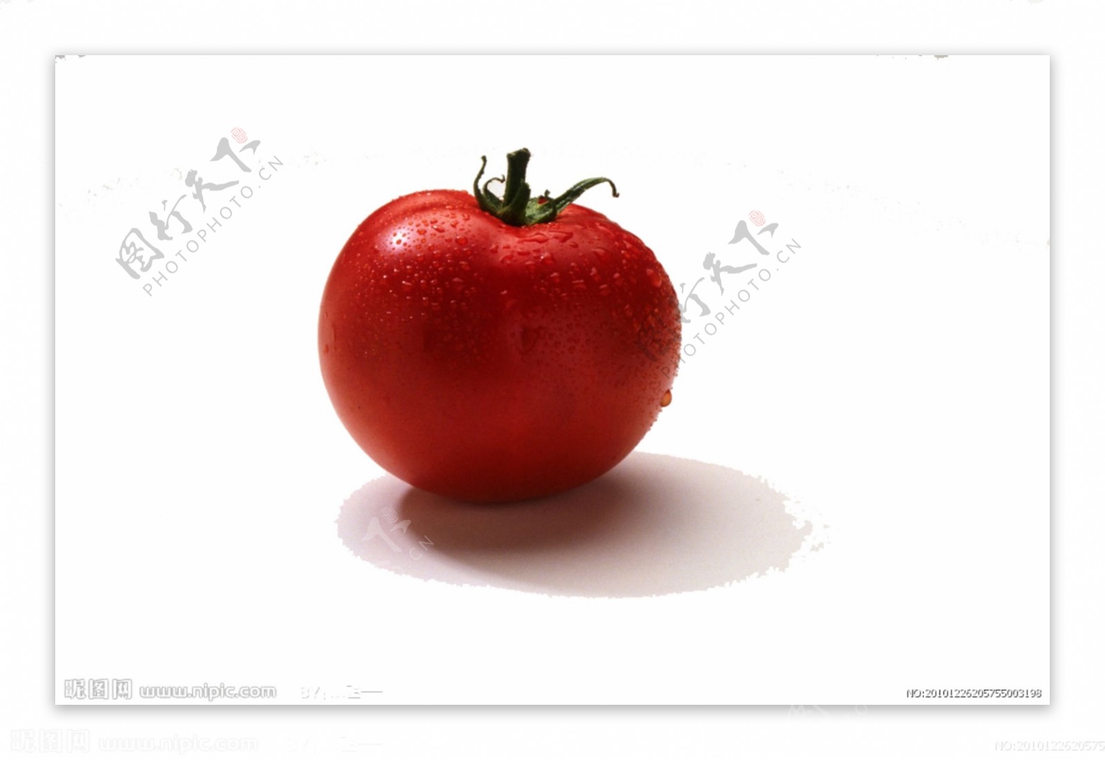 一个番茄PSD