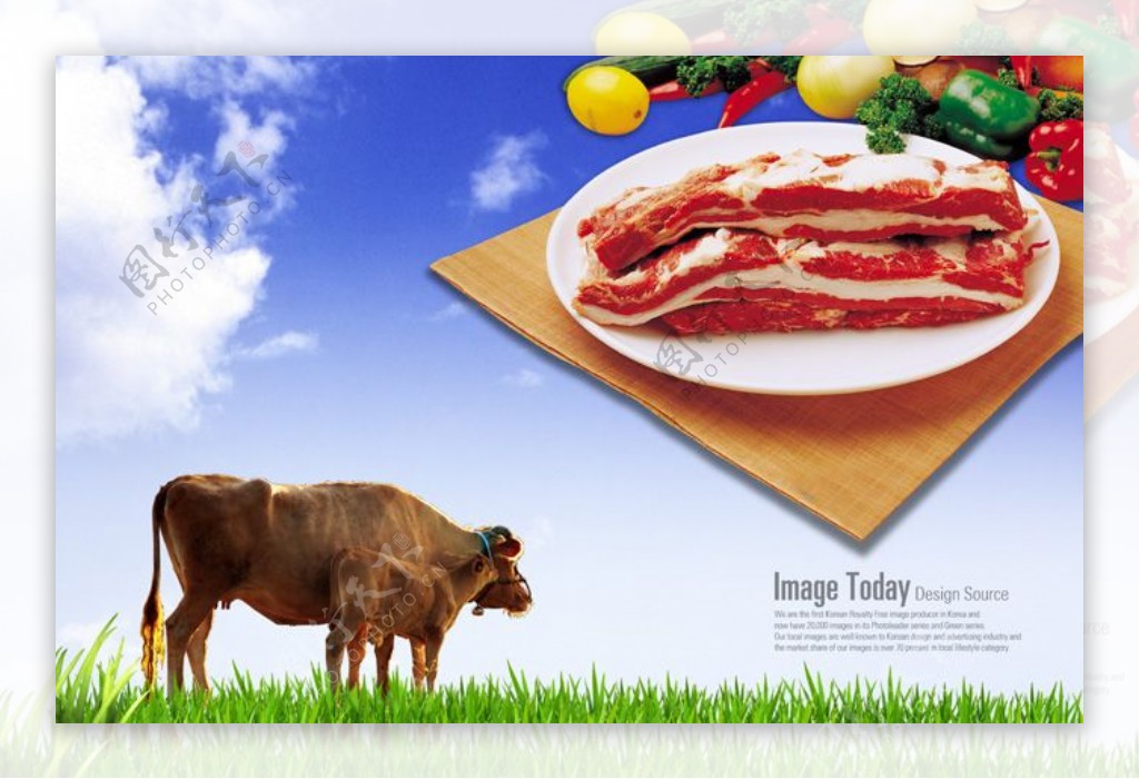韩国食材牛排PSD素材图片