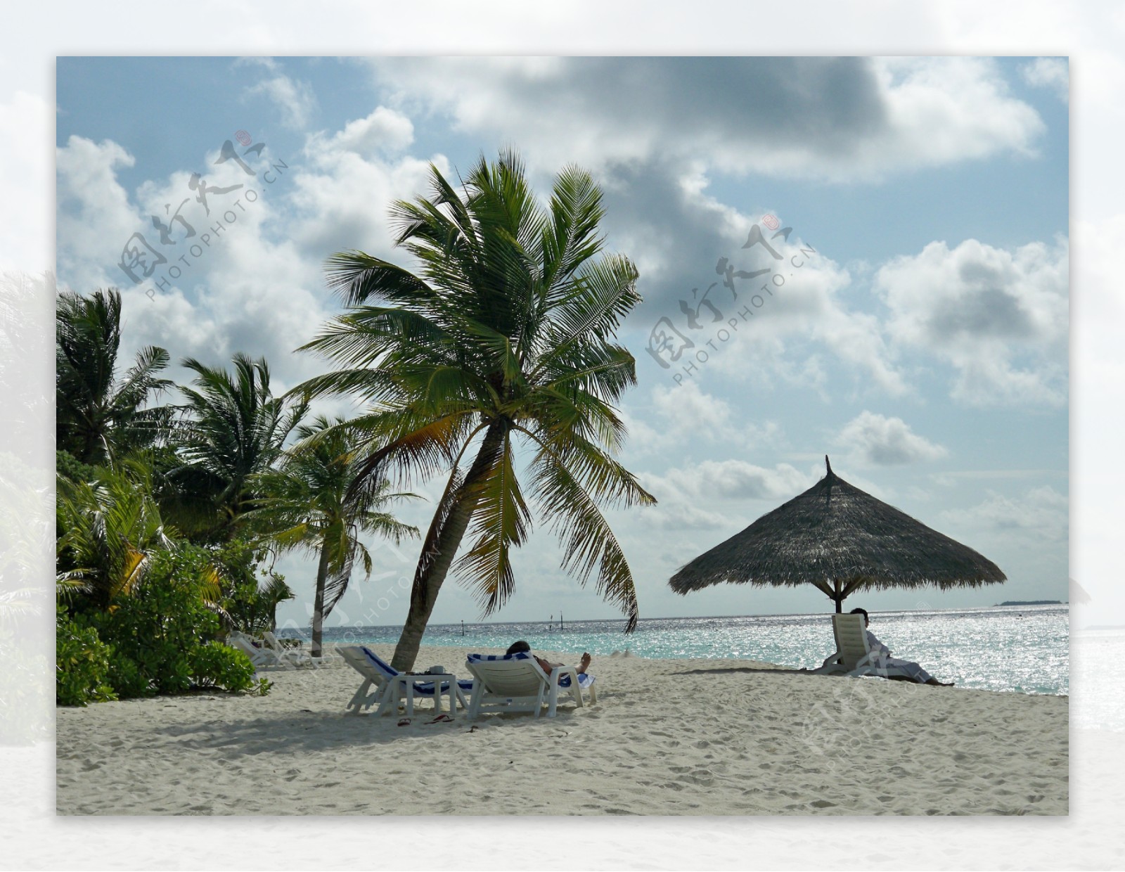 海滩和椰子树图片