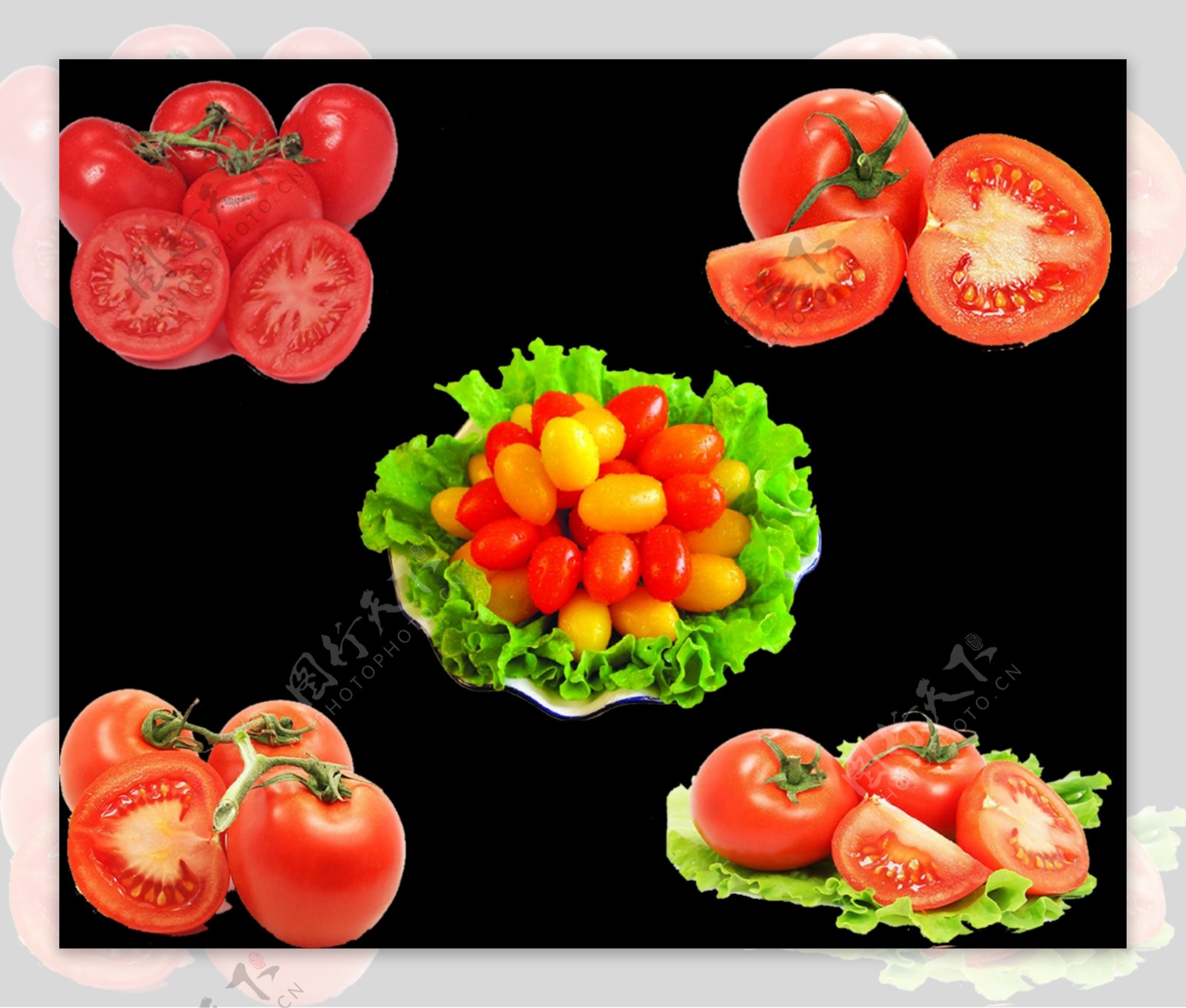 水果西红柿图片