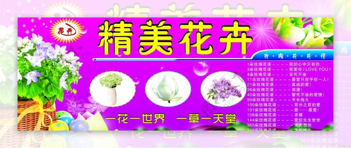 花卉精美花卉图片