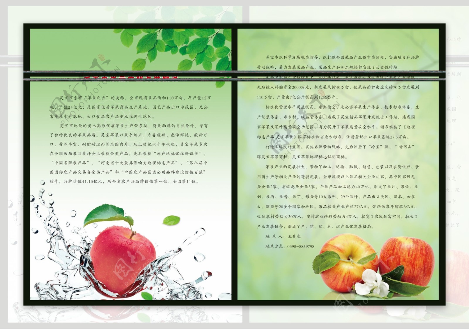 苹果彩页图片