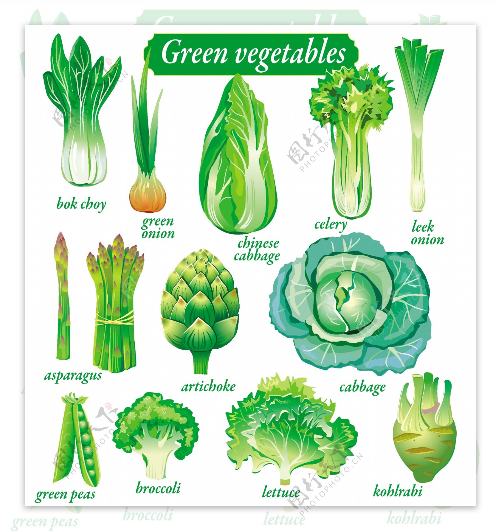 18清淡的蔬菜矢量包