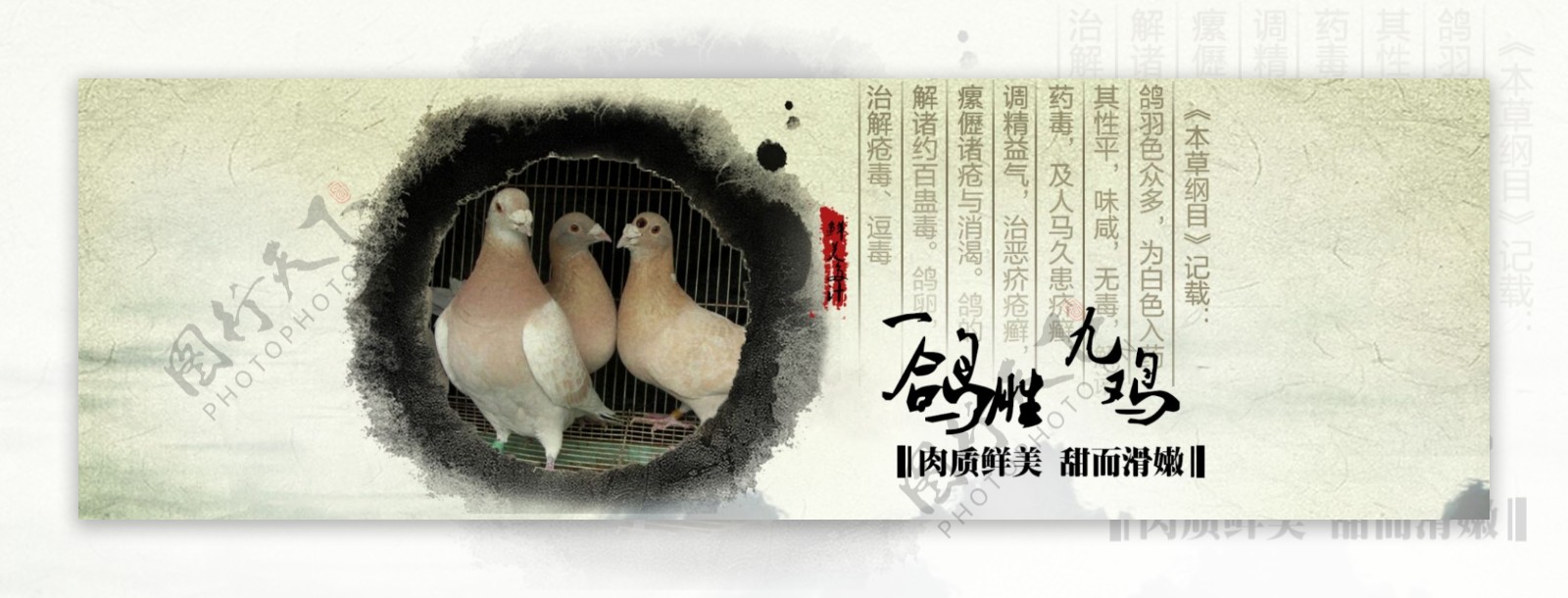 中国风古老乳鸽海报