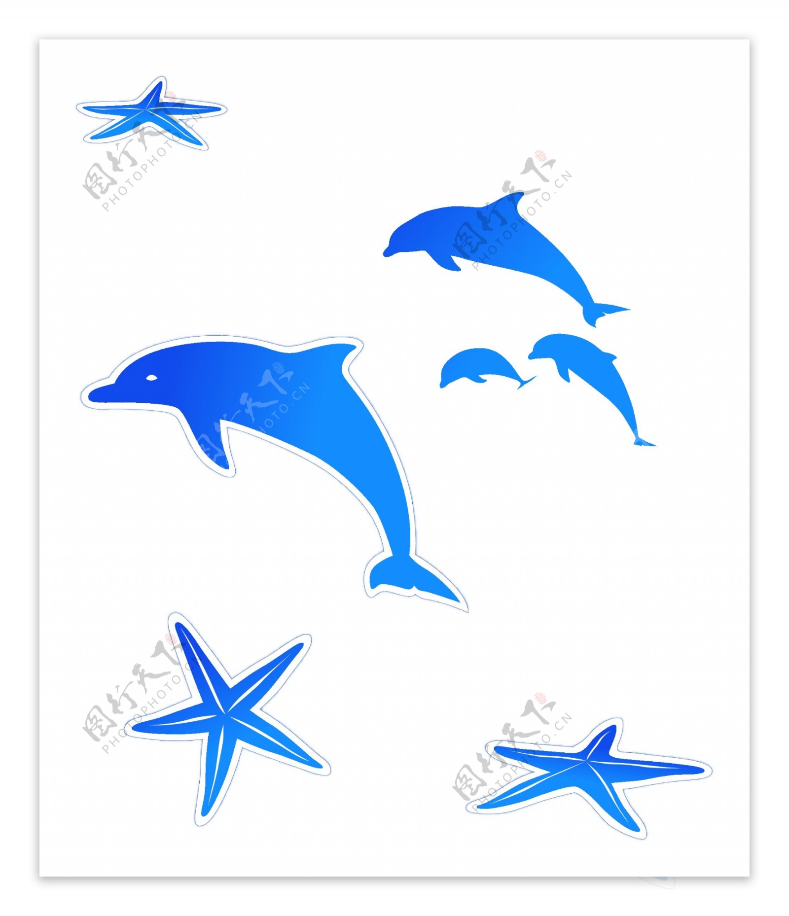 海星和海豚