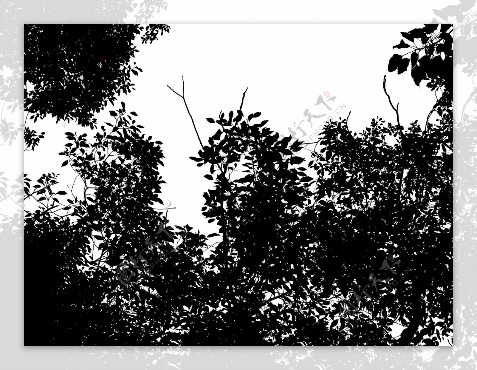 树木剪影4图片