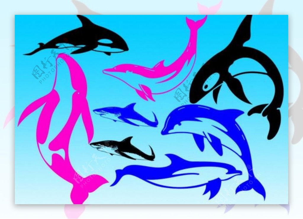 卡通海豚及鲨鱼笔刷图片
