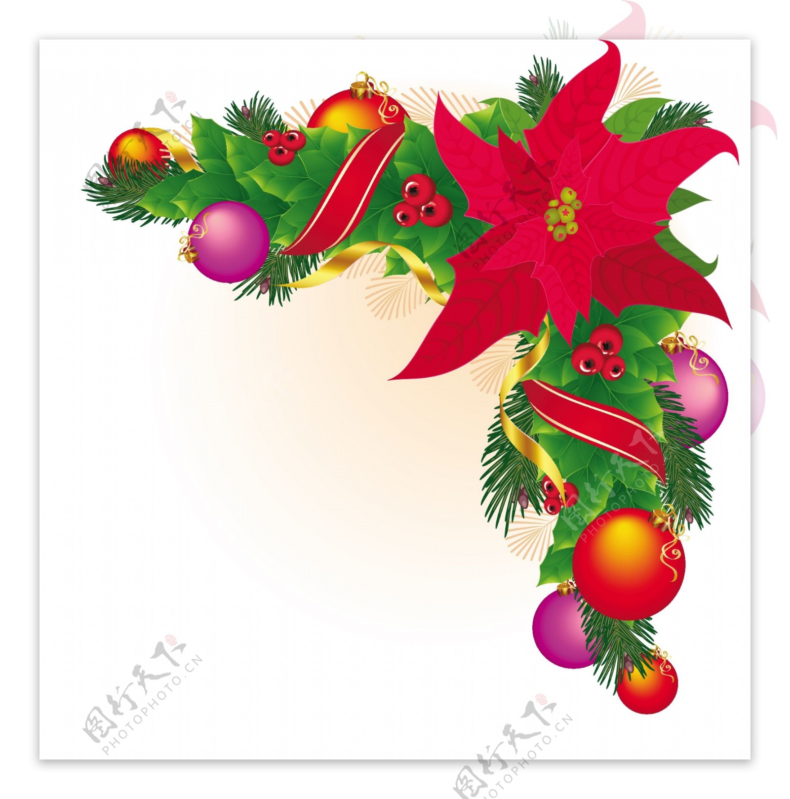 圣诞角装饰圣诞星冬青花环是红色和金色丝带矢量
