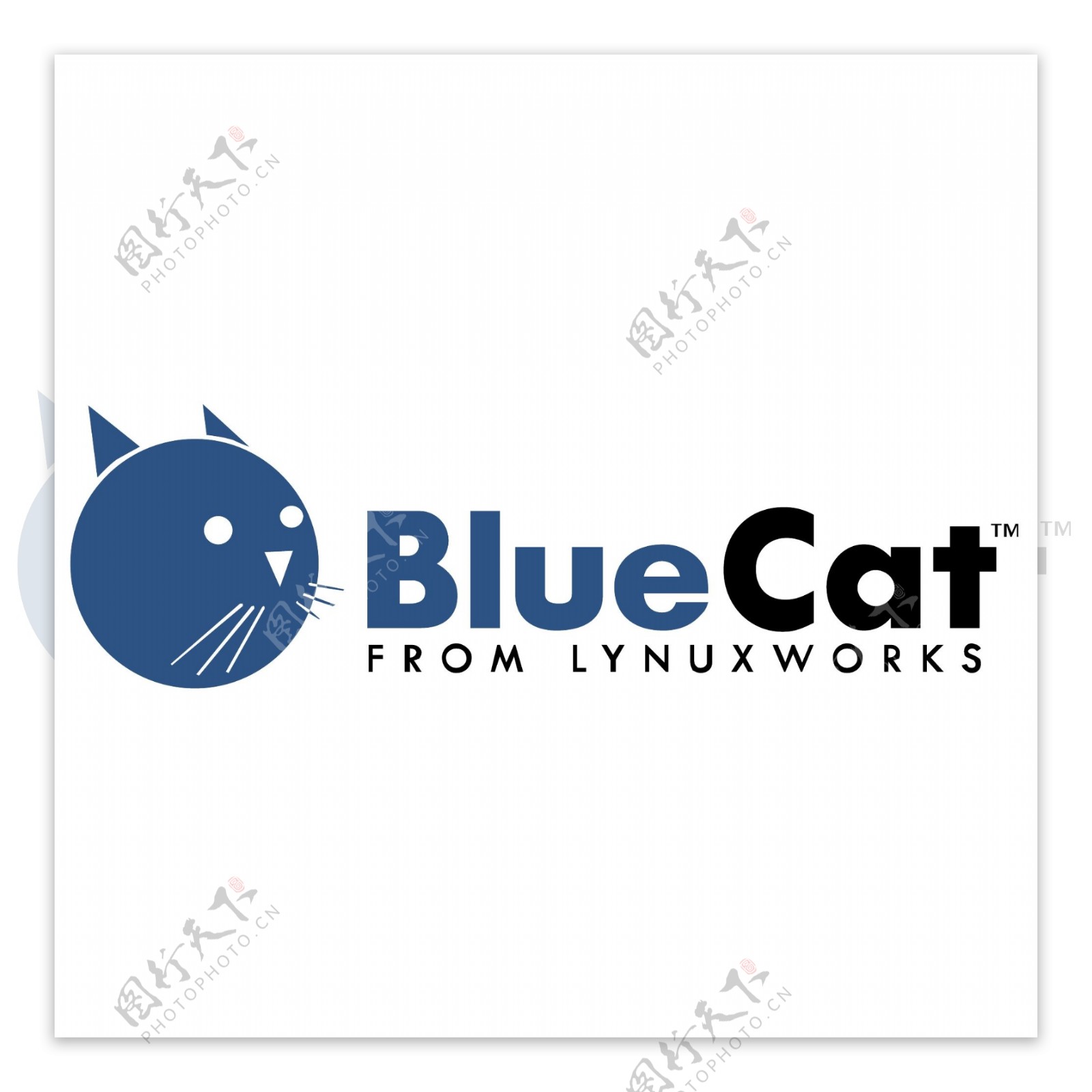 蓝猫