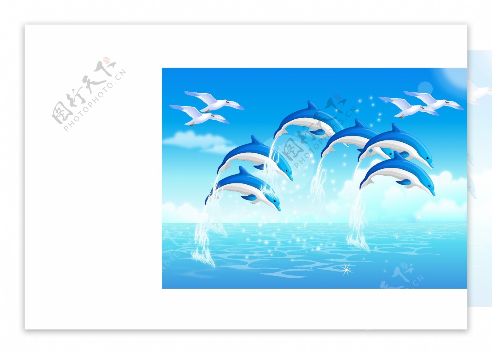 矢量海豚海鸥