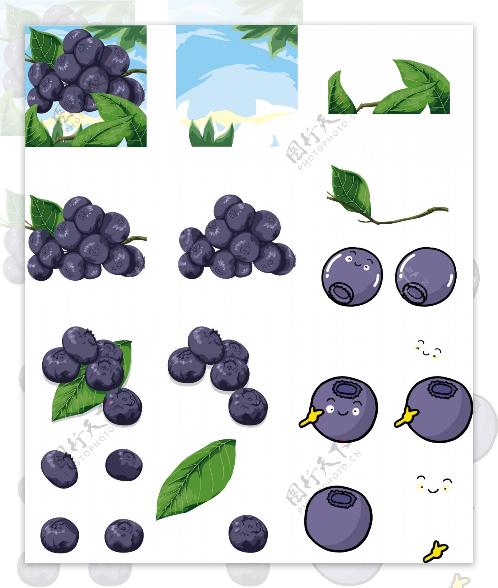 蓝莓合集图片
