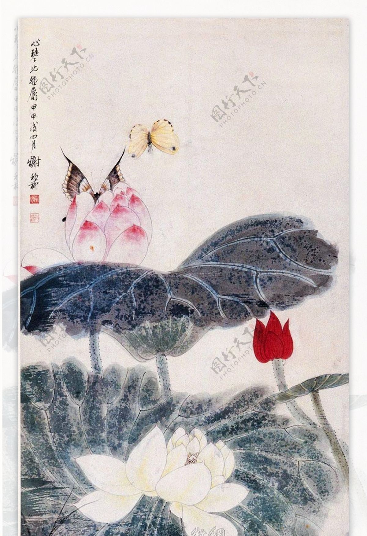 芙蓉湖石图图片