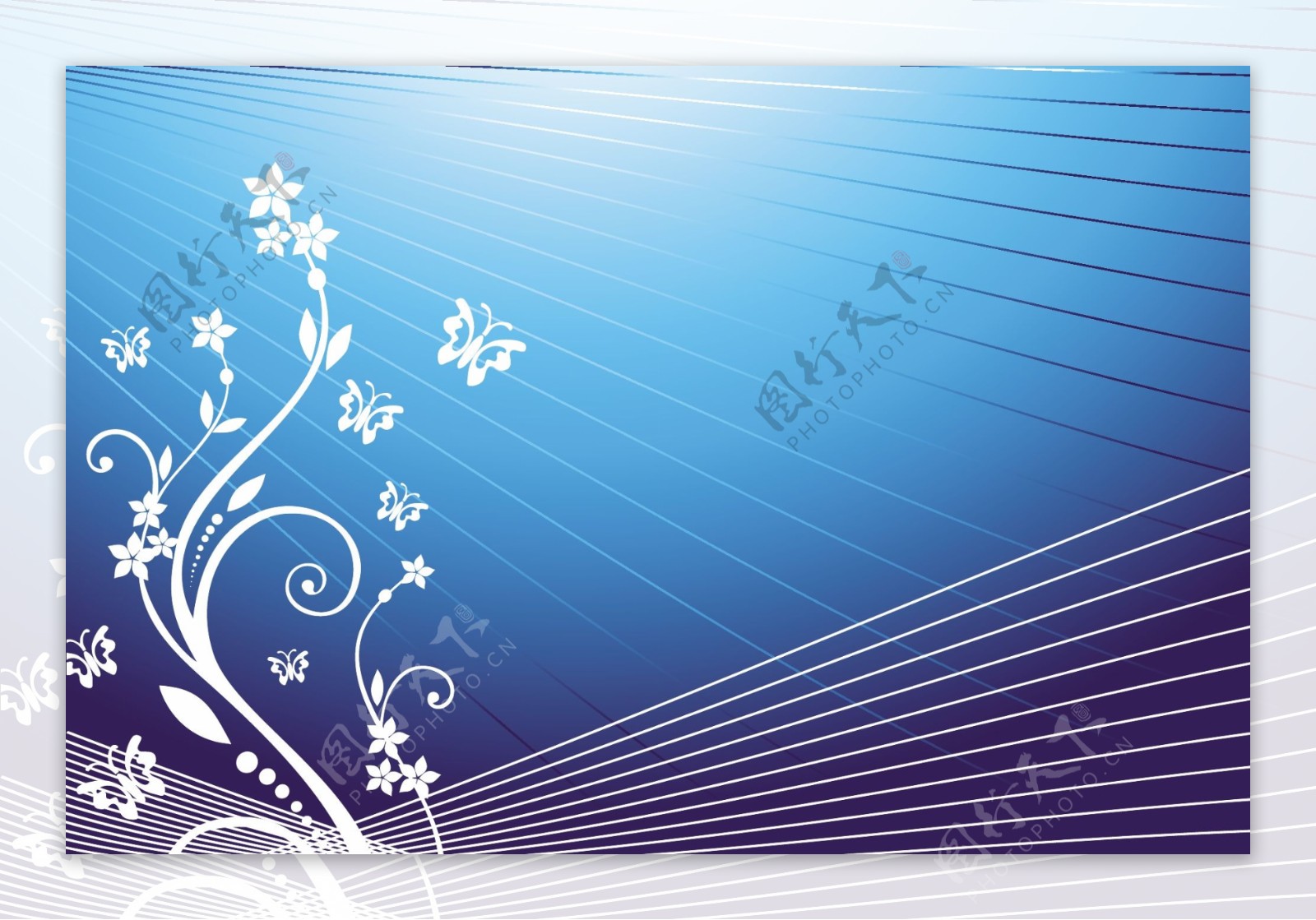 蓝蝴蝶花背景矢量壁纸