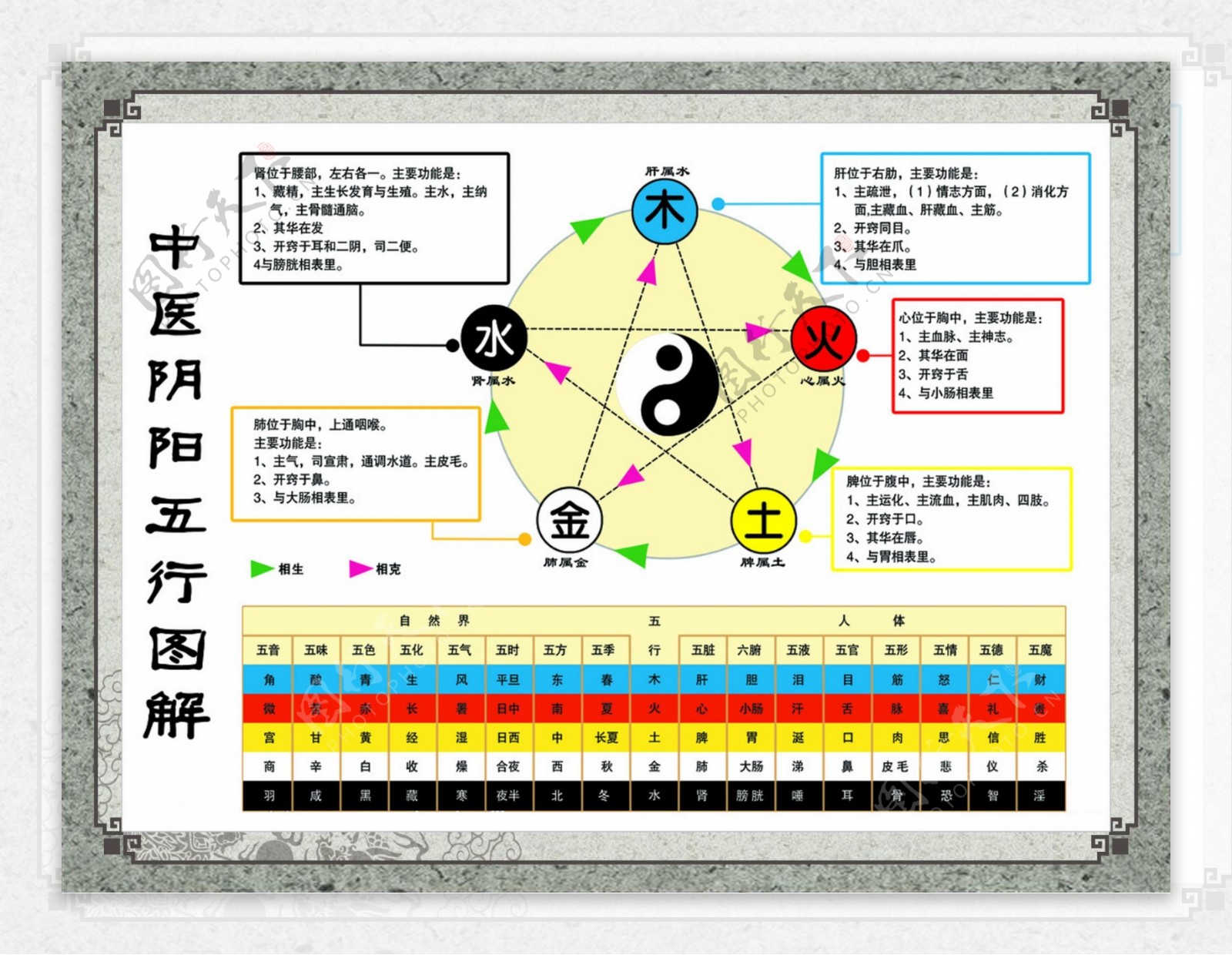 中医阴阳五行图图片