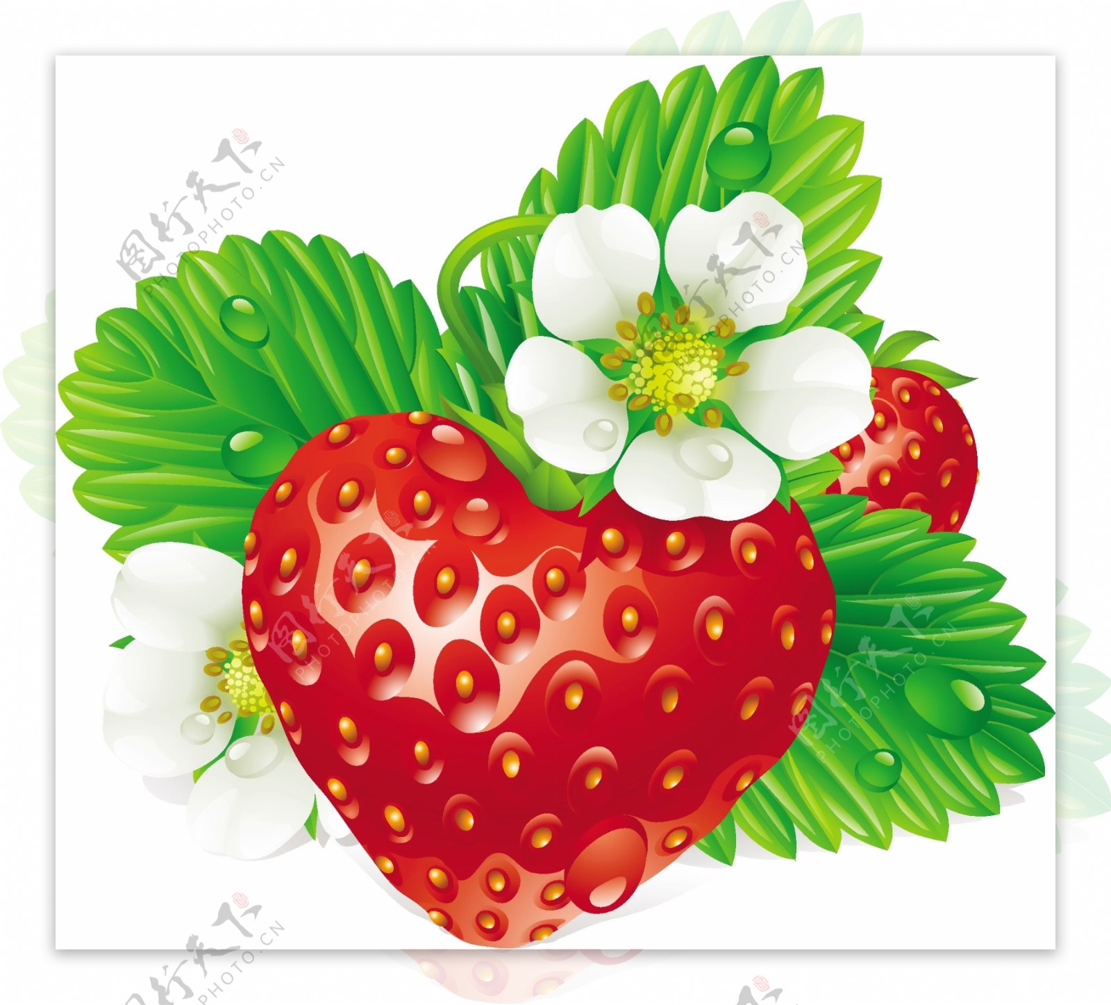 草莓装饰文本矢量素材