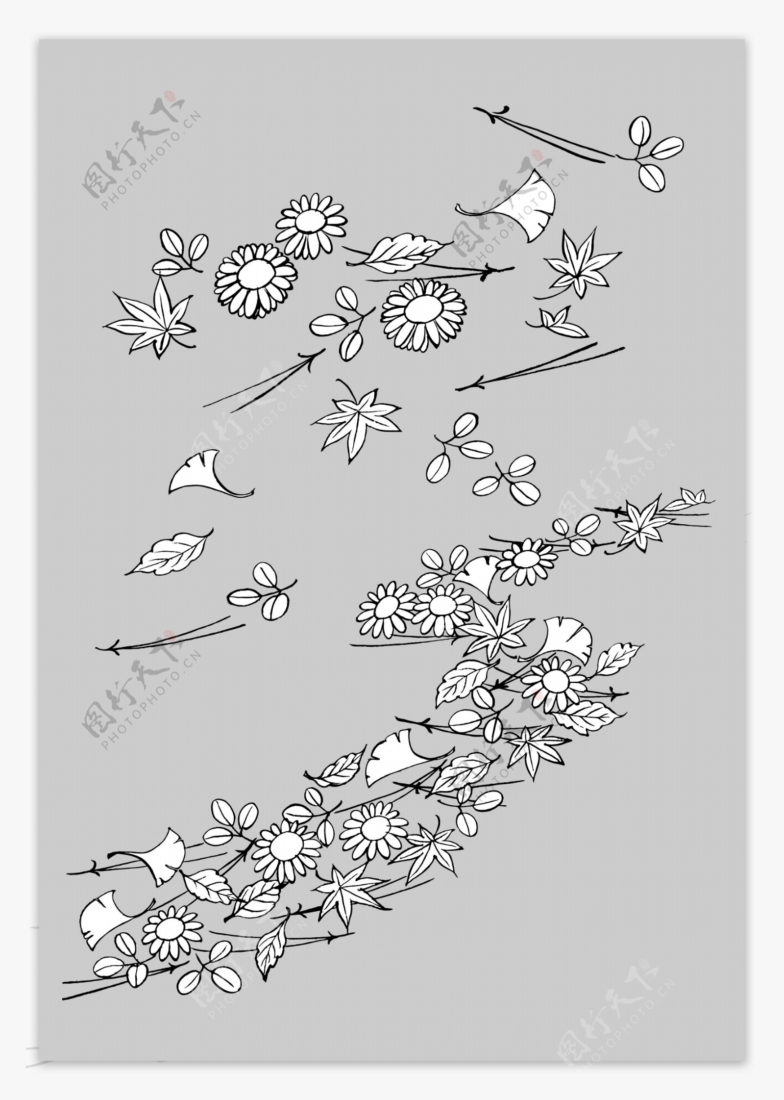 线描植物花卉矢量素材14树叶与花卉.