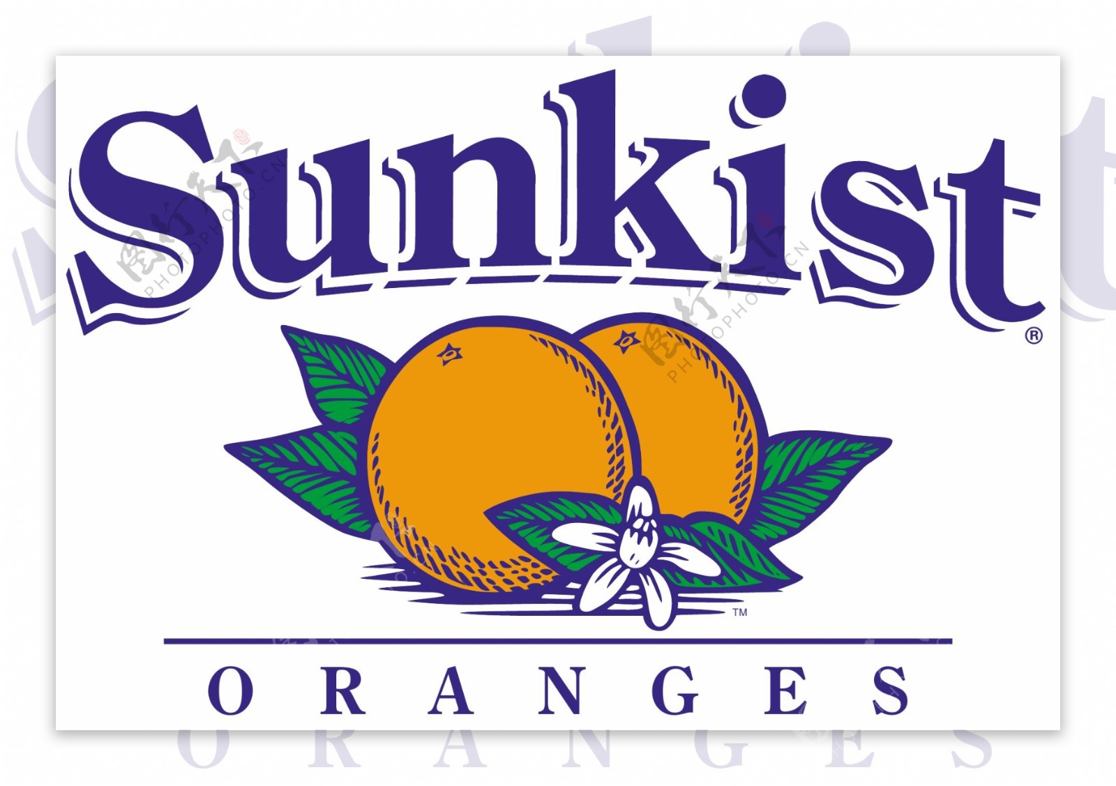 sunkist橙子图图片