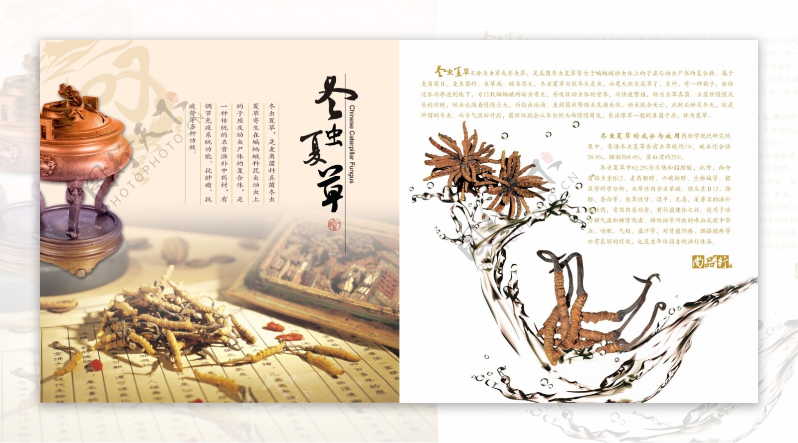 中国古典风冬虫夏草海报画册