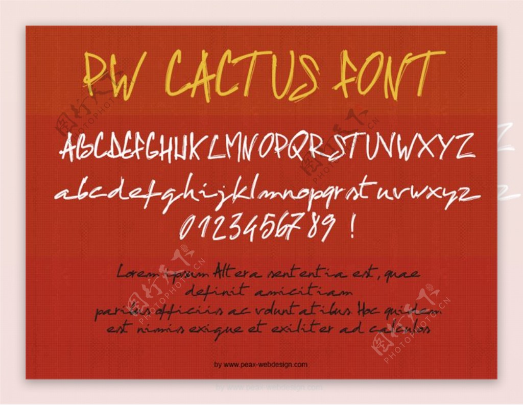 pwcactus字体