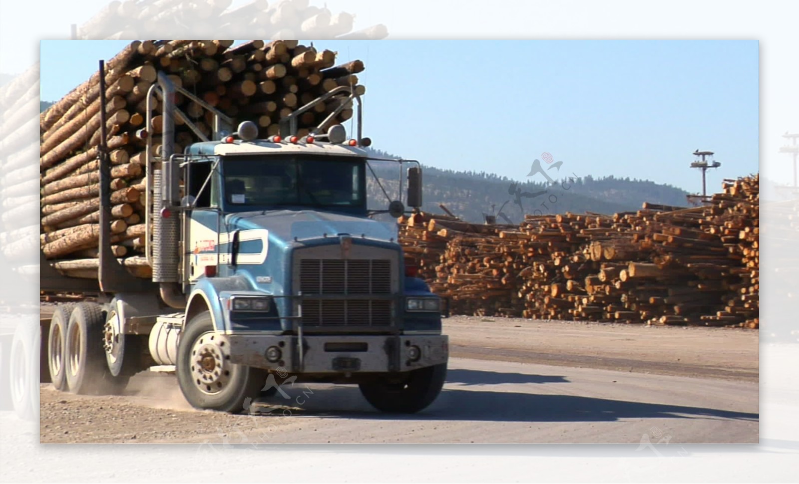 双长日志卡车驶入木材厂股票视频视频免费下载