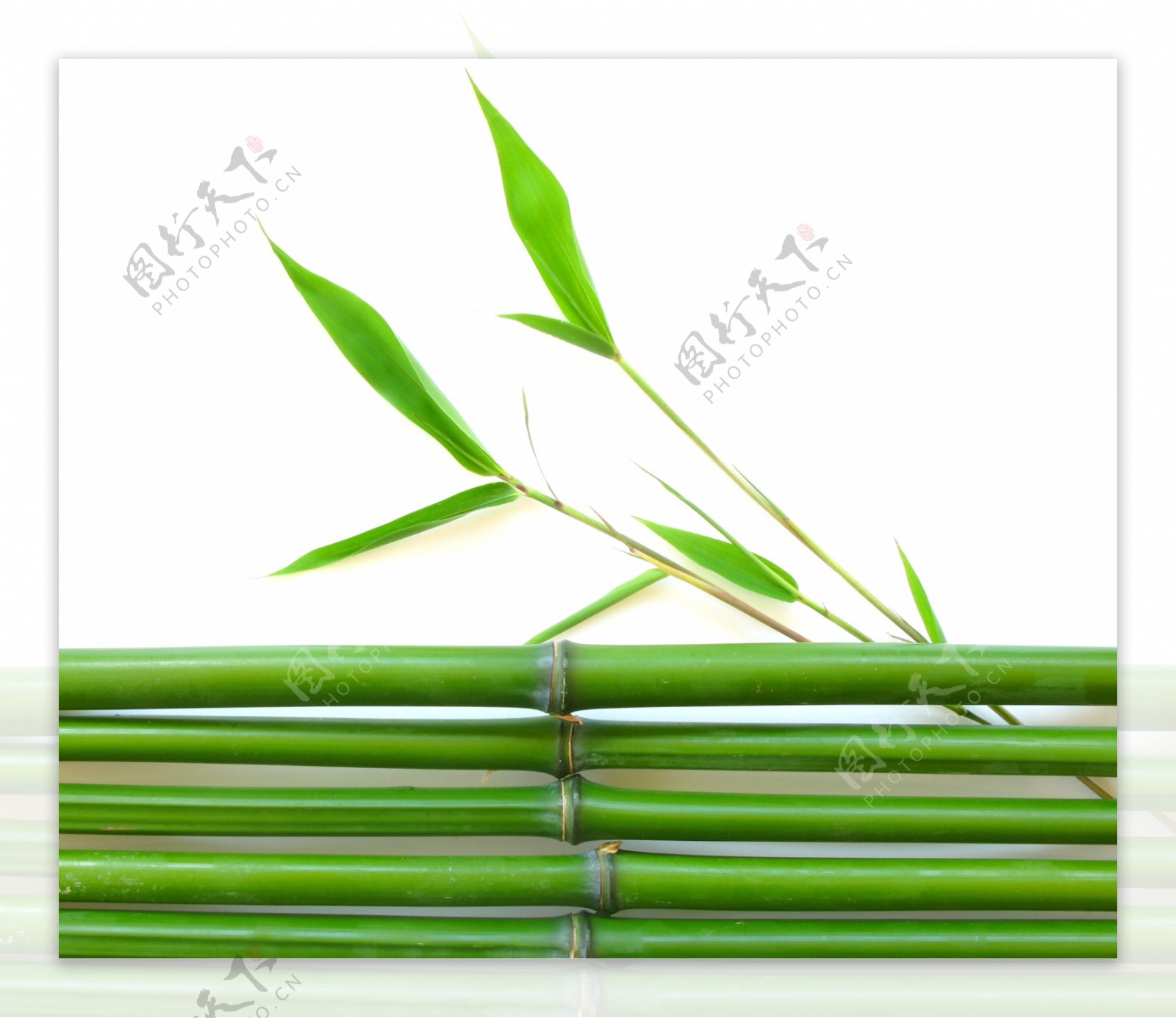 高清竹子和竹叶图片