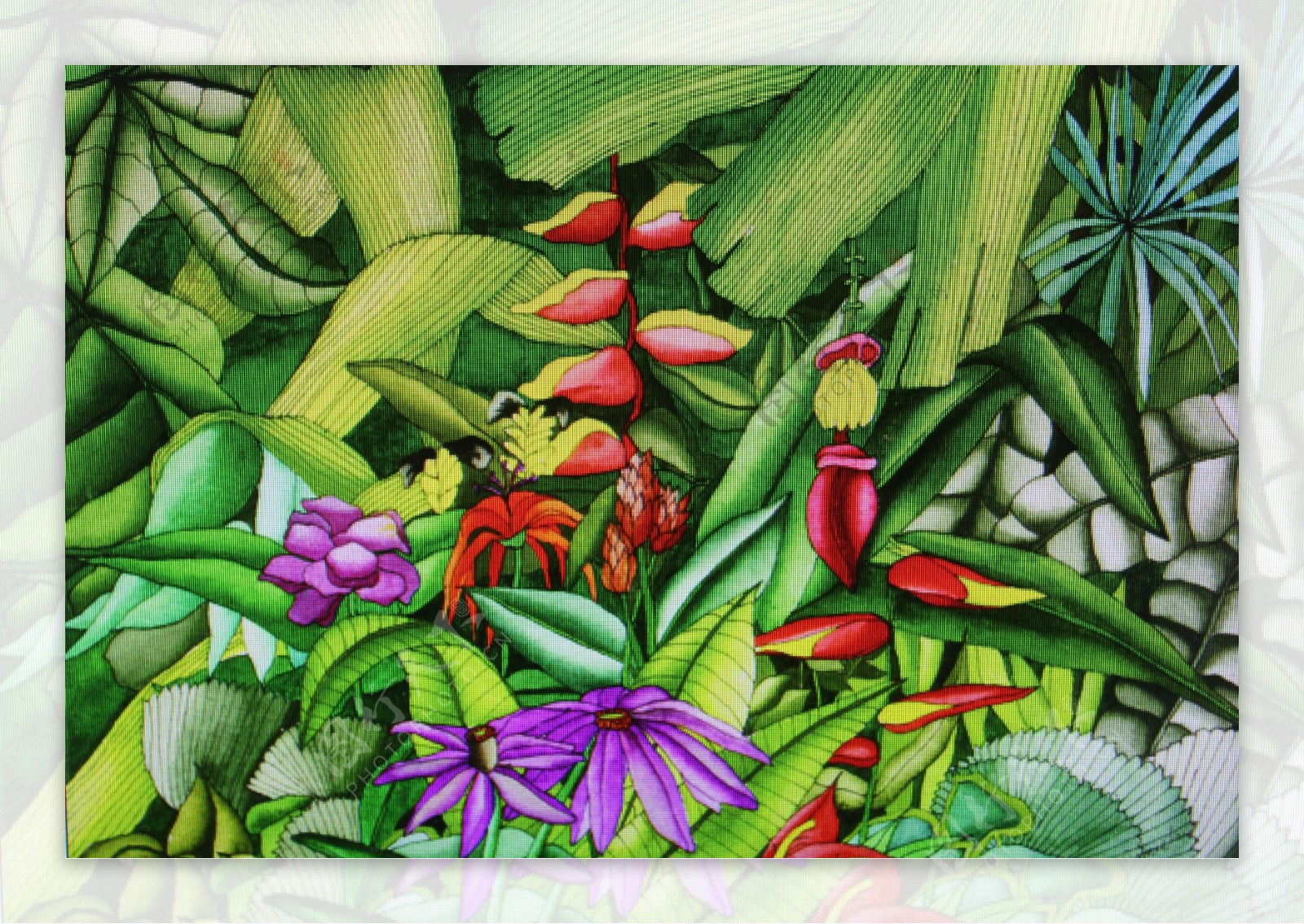 热带植物绘画图片